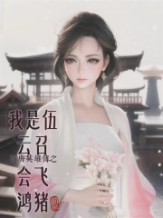 隋唐英雄传之我是伍云召